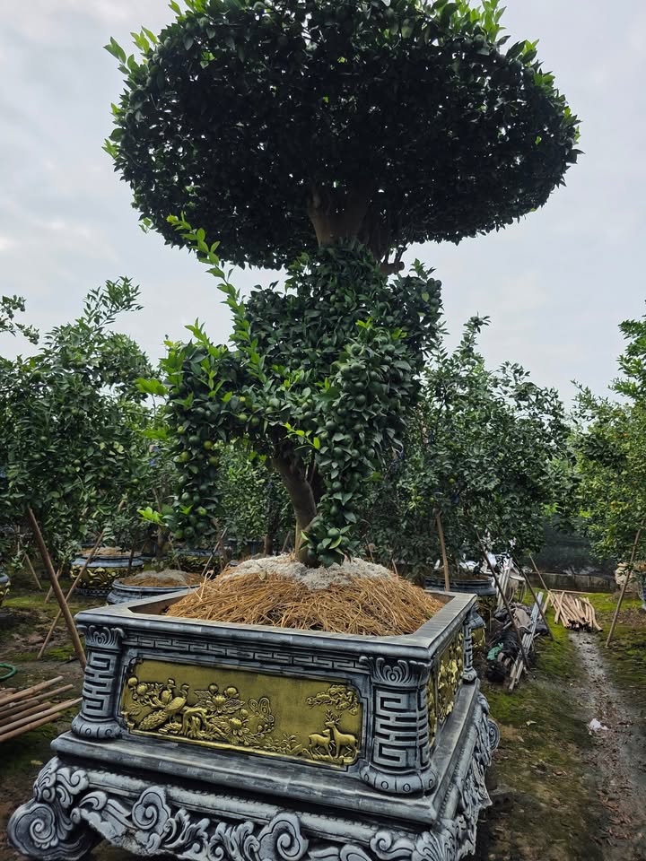 Đất nền Trần Phú, TP. Hà Tĩnh 169m² - Giá thỏa thuận, cơ hội đầu tư tuyệt vời!