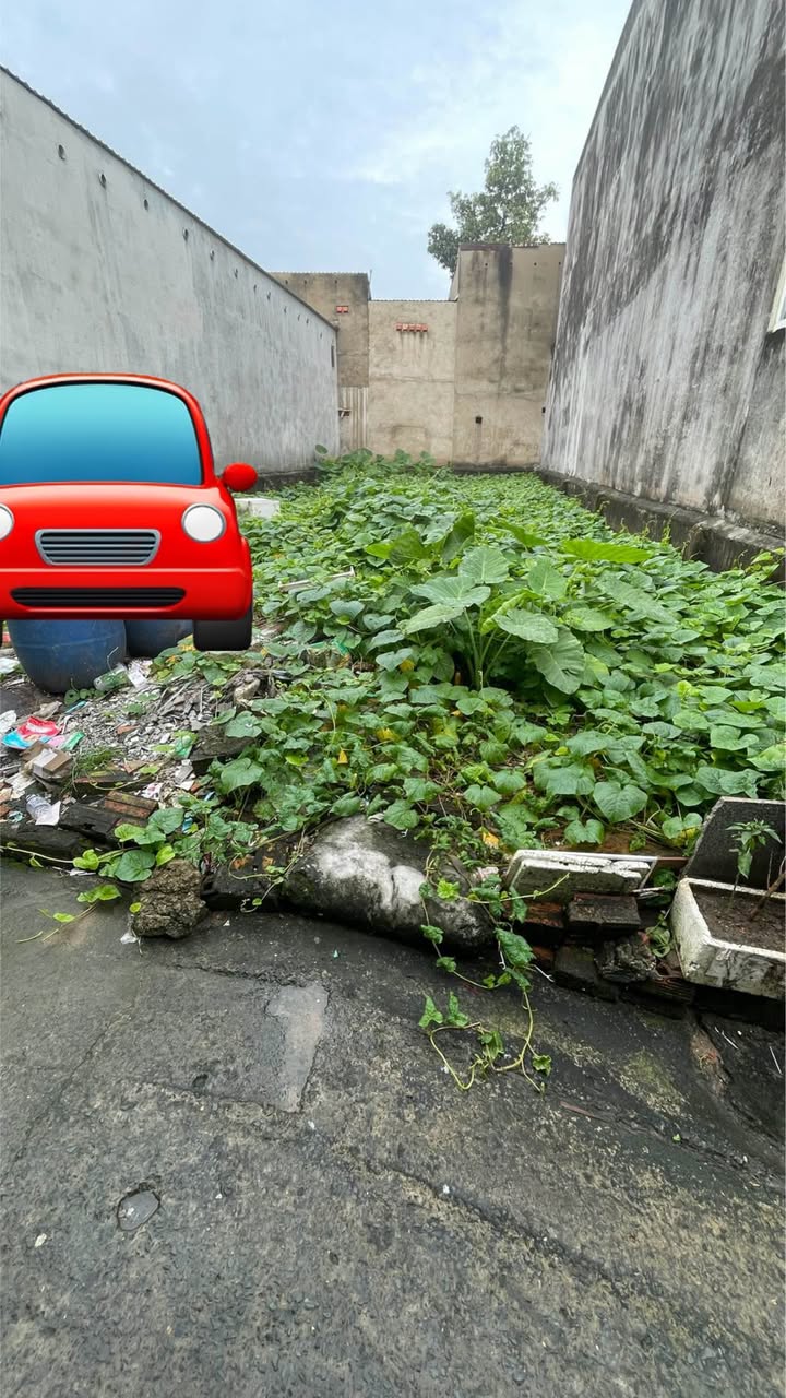 Bán đất Lò Lu, Trường Thạnh, Thủ Đức 140m² giá 5 tỷ - Tiềm năng đầu tư hấp dẫn!