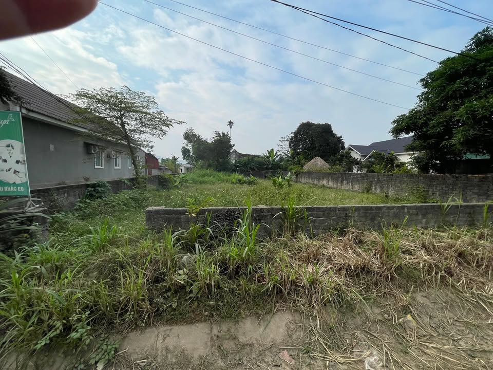 Đất nền Thạch Khoán 416m² mặt tiền Tỉnh lộ 316 - Cơ hội đầu tư hấp dẫn!