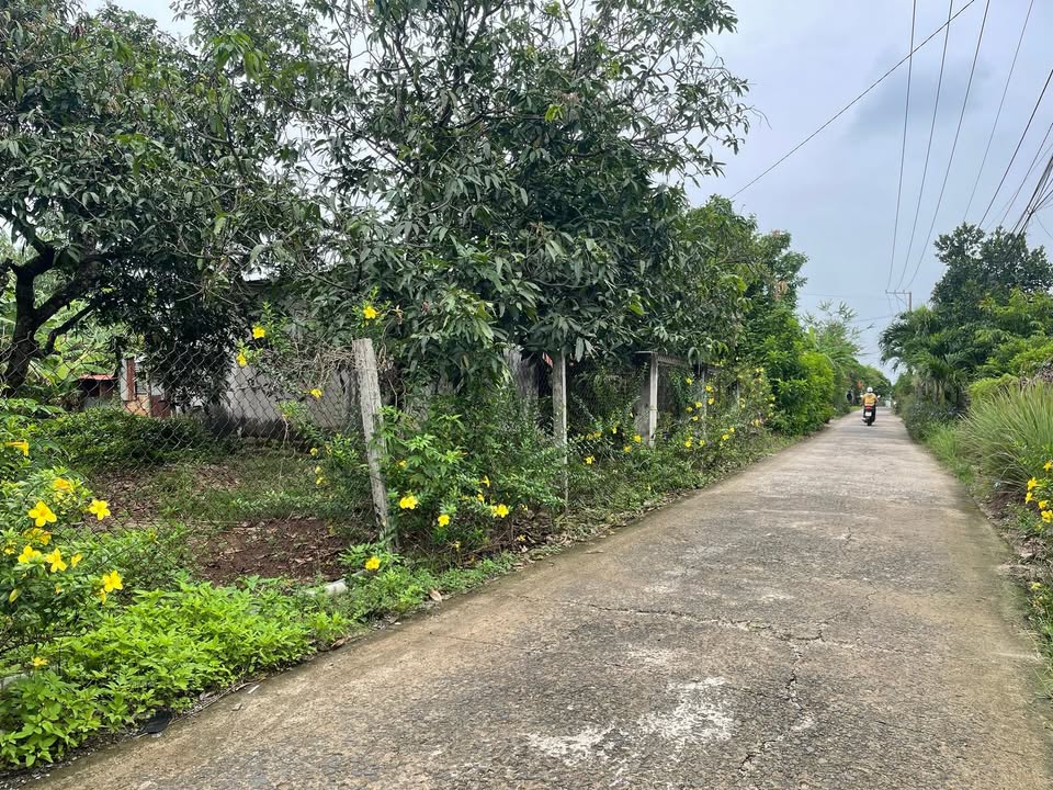 Đất thổ cư 100m² tại Xuân Lộc, Đồng Nai - Giá chỉ 739 triệu - Cơ hội đầu tư hiếm có!