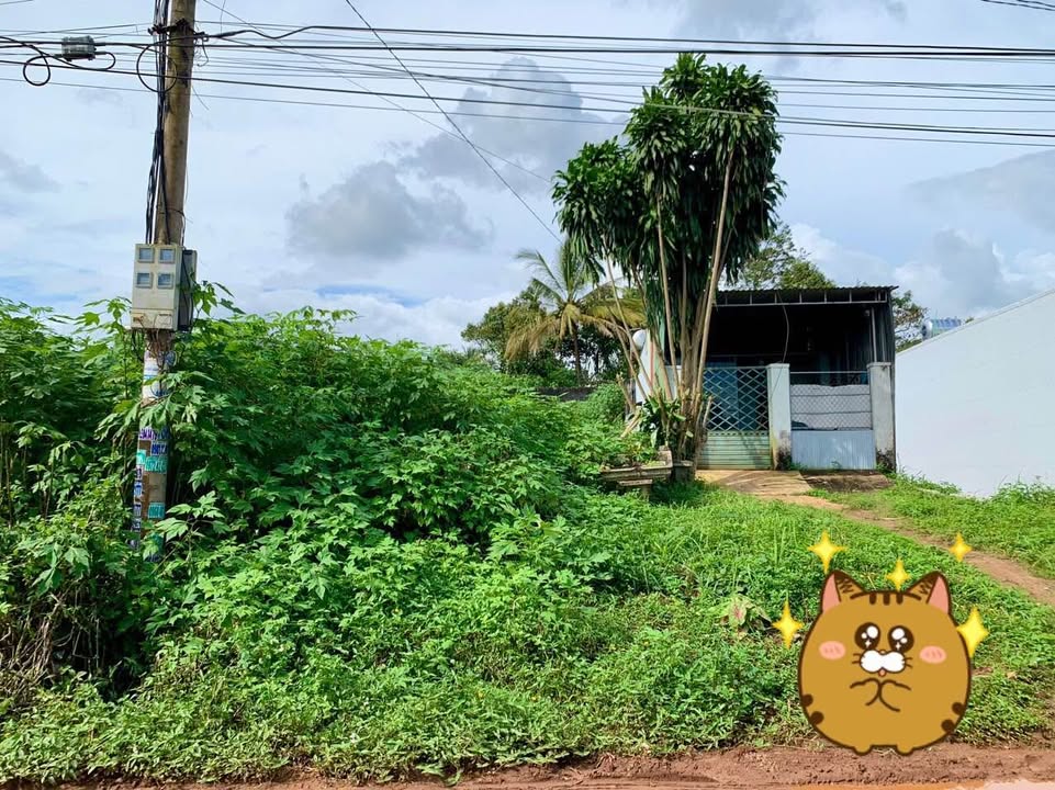 Đất nền Hẻm 274 Lê Duẩn, Thắng Lợi, 175m² giá 1.2 tỷ - Đầu tư sinh lời ngay!