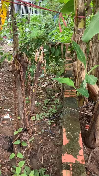 Đất thổ cư 2 mặt tiền đường Nguyễn Hữu Trí 113m² giá 5.438 tỷ - Cơ hội đầu tư tuyệt vời!