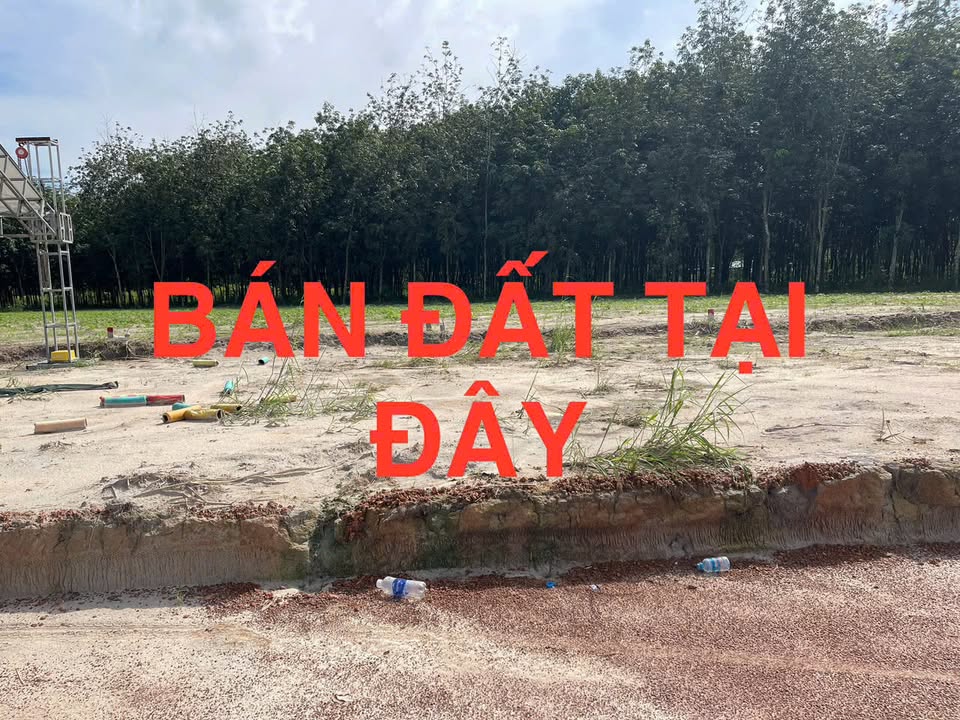 Đất nền khu phố 5, phường Minh Hưng, 250m² giá 300 triệu - Đầu tư sinh lời ngay!