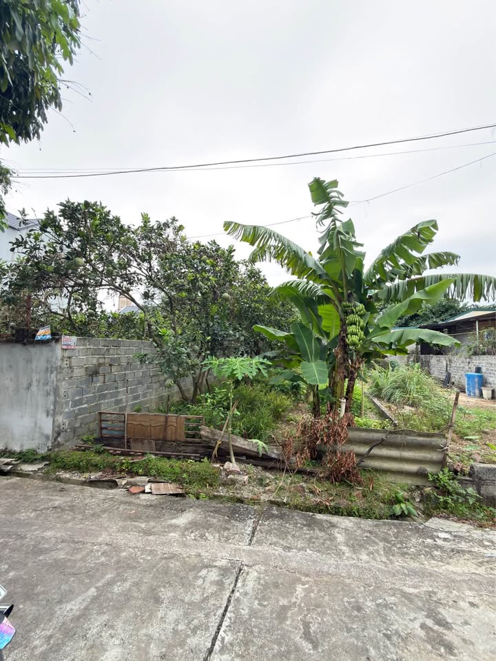 Đất nền tại Đông Yên, Quốc Oai 72m² giá 2 tỷ - Vị trí đắc địa, giao thông thuận lợi!