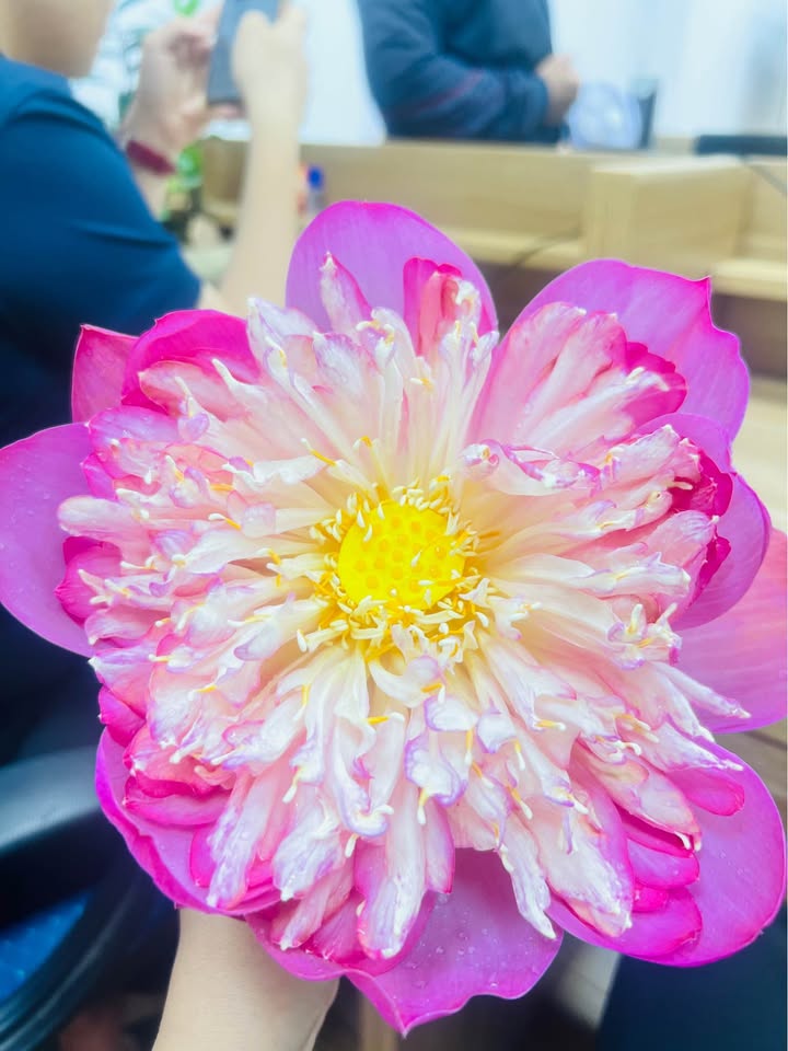 Nhà cấp 4 mặt tiền đường Trần Cao Vân, phường 9, Vũng Tàu 97.1m² - Đầu tư sinh lời hấp dẫn!