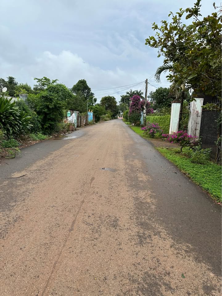 Đất nền Hòa Hội Xuyên Mộc 1400m² giá chỉ 1.494 tỷ - Sổ đỏ chính chủ