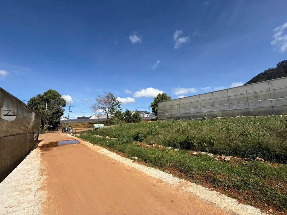 Đất nền Lâm Viên Đà Lạt 887m² giá chỉ 9.746 tỷ - Đầu tư sinh lời ngay!