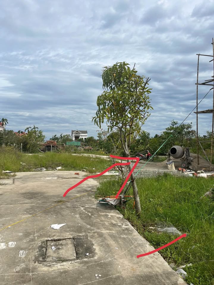 Đất nền xóm Trung Liên, Nghi Liên 82m² giá 1.6 tỷ - Hướng Tây Nam, đường bê tông thông thoáng!