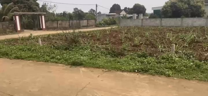 Đất nền liền kề xóm Hữu Lập, Nghĩa An 160m² giá chỉ 500 triệu - Cơ hội đầu tư hấp dẫn!