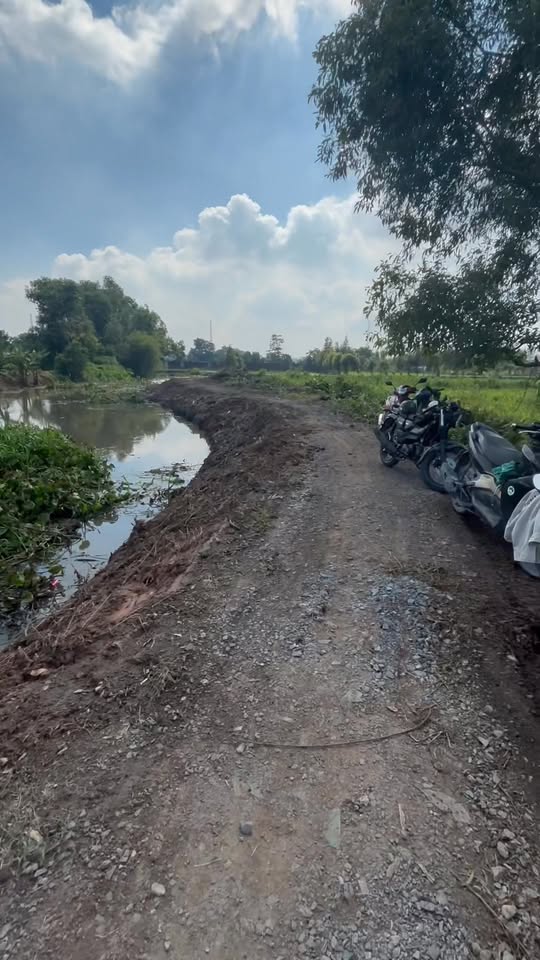 Đất vườn Hóc Môn 1000m² giá 2.8 tỷ - Không khí trong lành, view đẹp!