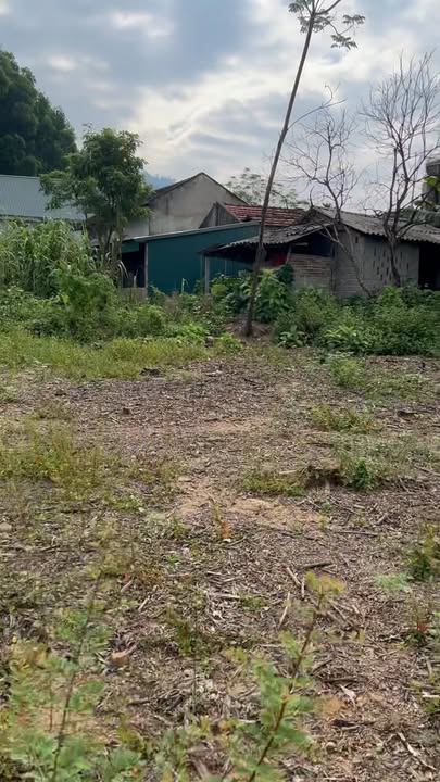 Đất nền Hùng Long 640m² giá chỉ vài trăm triệu - Cơ hội đầu tư tuyệt vời!