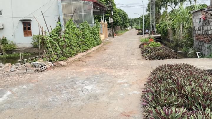 Lô đất Nghĩa Bình 360m² giá 1.3 tỷ - Cơ hội đầu tư sinh lời hấp dẫn!