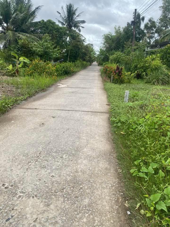 Đất thổ cư Rạch Lùm A, Khánh Hưng, Cà Mau 1120m² giá 650 triệu - Thương lượng ngay!