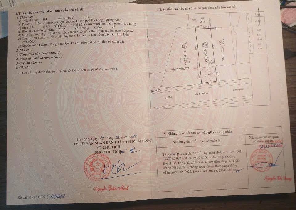 Đất nền Hạ Long 258m² giá thỏa thuận - Sổ hồng pháp lý rõ ràng!