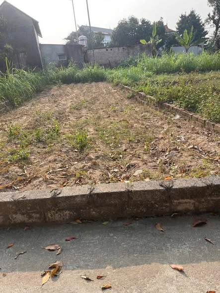 Đất nền 81m² tại phường Xuân Khanh, Sơn Tây - Giá chỉ 1.5 tỷ, đầu tư sinh lời!