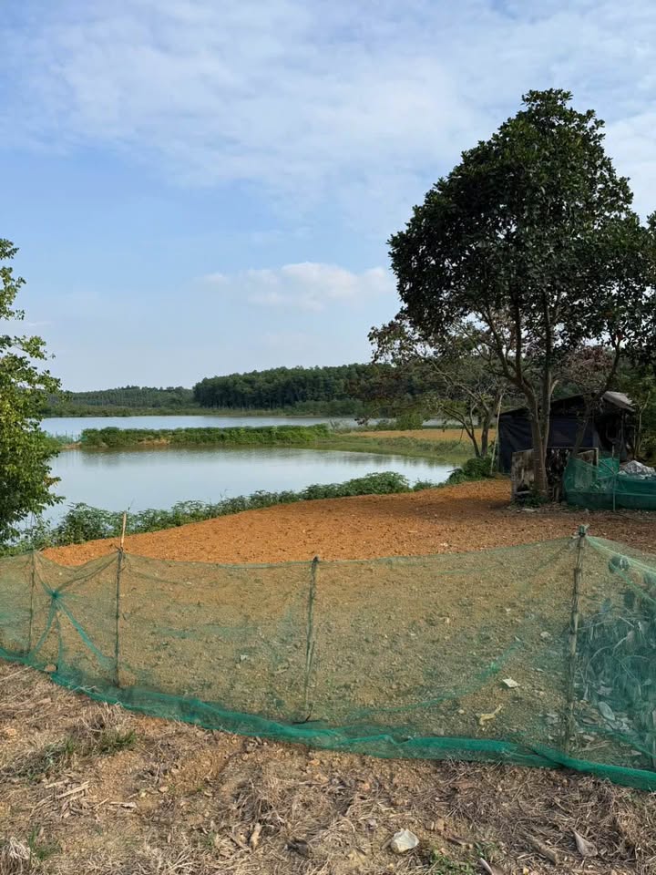 Đất Farm Đồng Lương Cẩm Khê 9000m² giá 2 tỷ - View đẹp, đầu tư sinh lời!