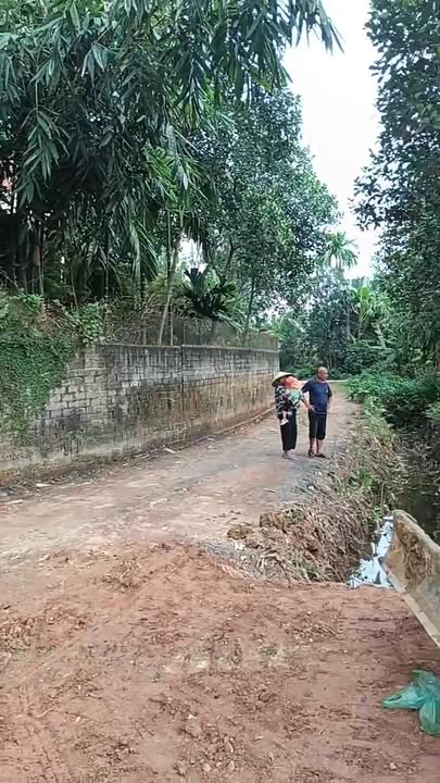 Đất nền Hiền Quan, Tam Nông 157m² giá chỉ 200 triệu - Cơ hội đầu tư hấp dẫn!