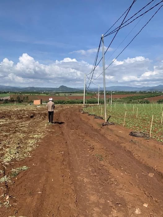 Đất nền Tân Hội 70m² giá 4.5 tỷ - Đường nhựa 70m, vị trí đắc địa!