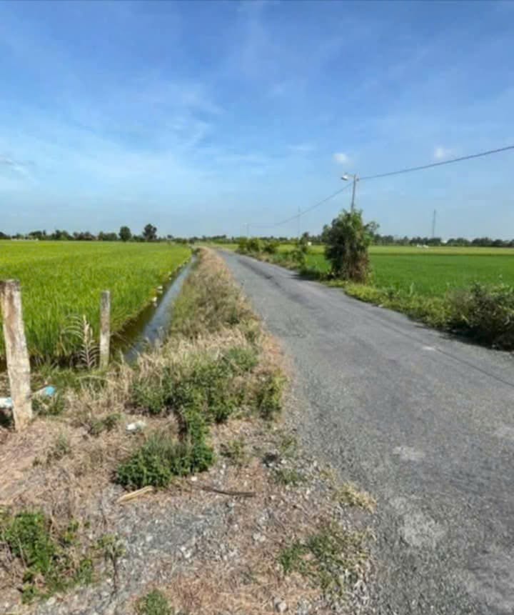 Đất ruộng mặt tiền xã Bình An, Thủ Thừa 3000m² giá 462 triệu - Cơ hội đầu tư tuyệt vời!