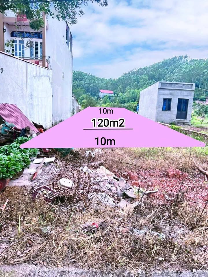 Đất nền Tiên Nha Lục Nam 120m² giá thỏa thuận - Mặt tiền Quốc lộ 31