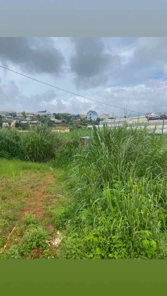 Đất nền đường Cao Thắng, Đà Lạt 50m² giá 450 triệu - Cơ hội đầu tư tuyệt vời!