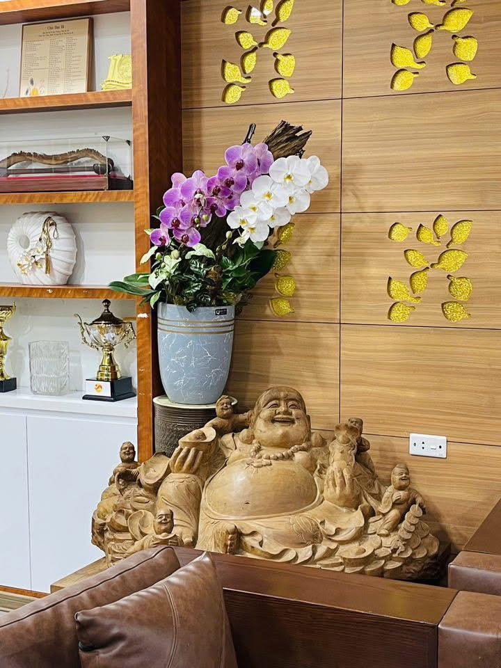 Đất mặt đường Đằng Hải, Hải An 356m² giá 11.3 tỷ - Kinh doanh sầm uất!