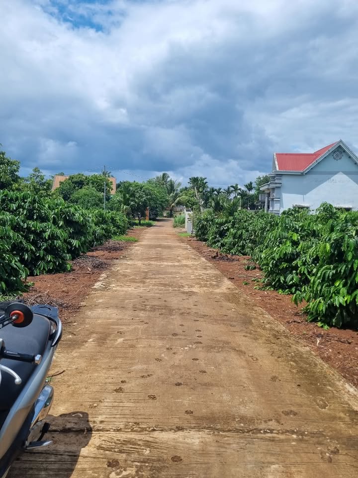 Đất thổ cư Hòa Khánh, Buôn Ma Thuột 288m² giá 1.65 tỷ - Đầu tư sinh lời ngay!