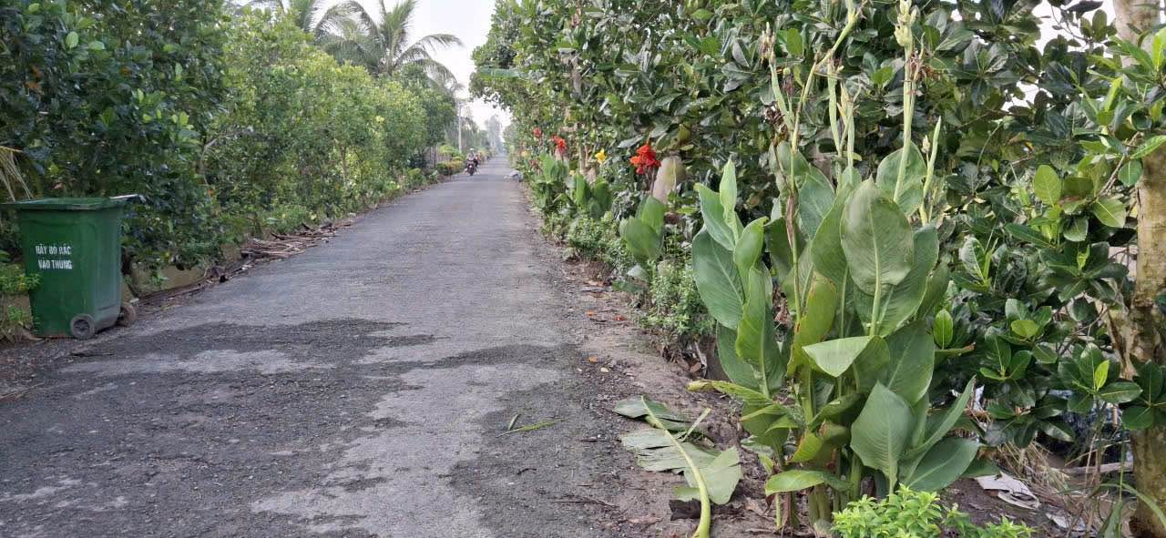 Đất 2 mặt tiền Tân Thành, Bình Tân, 4700m² giá 380 triệu - Cơ hội đầu tư hiếm có!