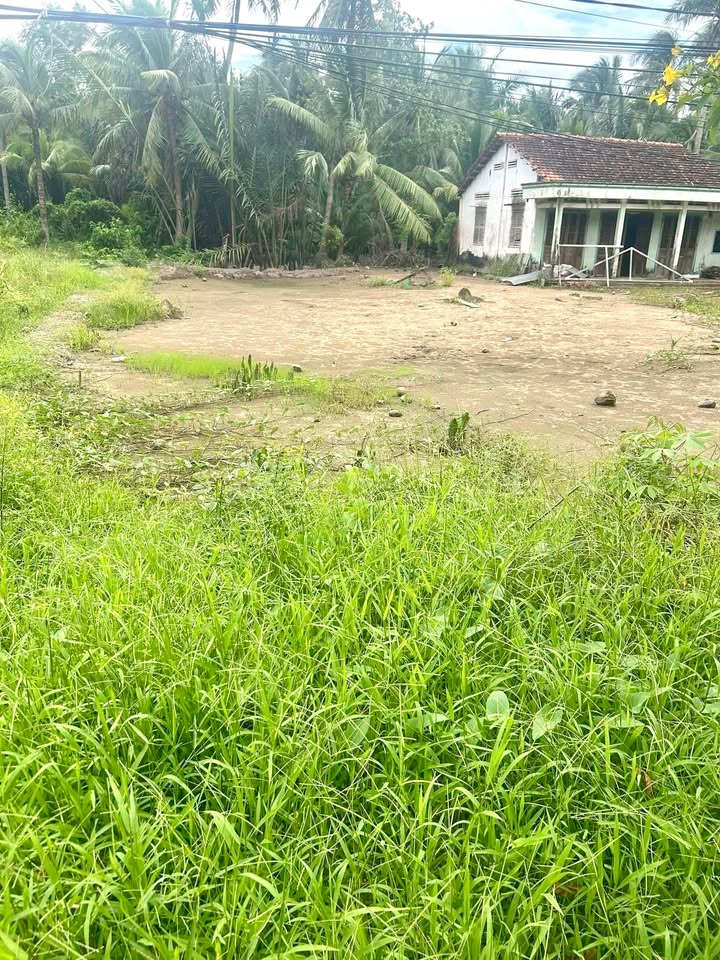 Đất thổ cư 223m² tại Phước Hiệp, Mỏ Cày Nam chỉ 490 triệu - Đầu tư sinh lời ngay!