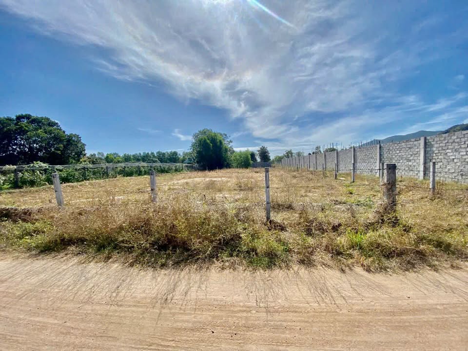 Đất nền 1 sào tại Tam Phước, Long Điền, Bà Rịa - Vũng Tàu - Giá chỉ 2 tỷ!