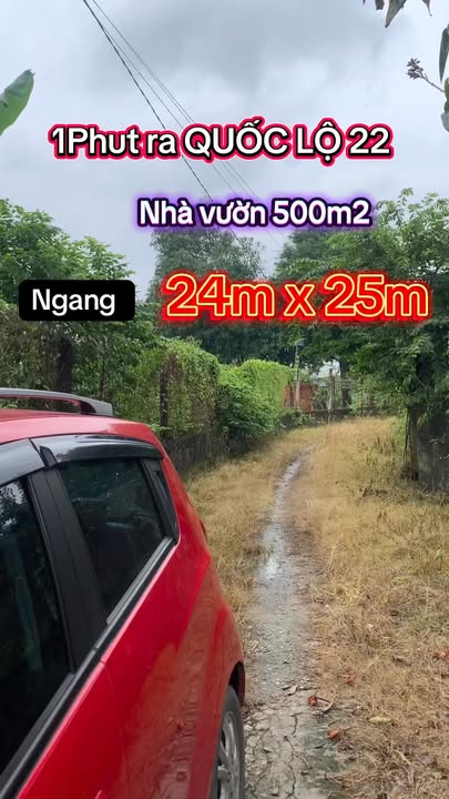 Đất nền Thái Mỹ Củ Chi 500m² giá 1.98 tỷ - Tặng nhà vườn và hàng rào kiên cố!