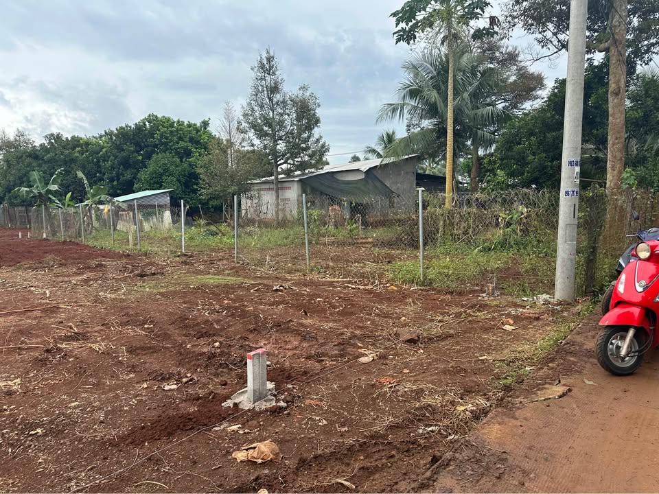 Đất nền Bình Lộc Long Khánh 100m² giá 750 triệu - Hỗ trợ ngân hàng lên đến 450 triệu!