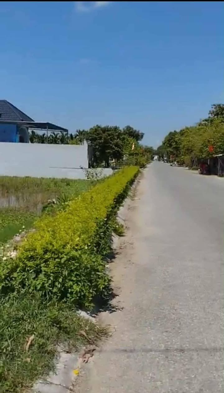 Đất chính chủ xã Hồ Vương, Nga Sơn 100m² - Gần chợ và trường học!