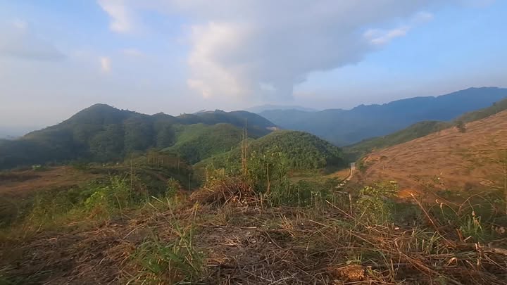 Đất đồi Thượng Cửu Thanh Sơn 10,6ha giá thỏa thuận - Tiềm năng đầu tư sinh lời!