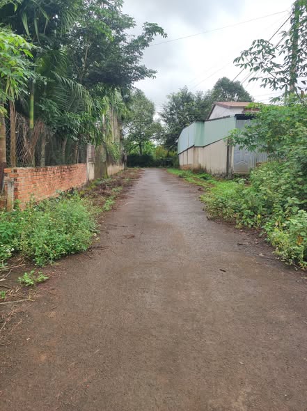 Đất nền chính chủ Tân Lập, Buôn Ma Thuột 255m² - Gần hồ sinh thái chỉ 100m!