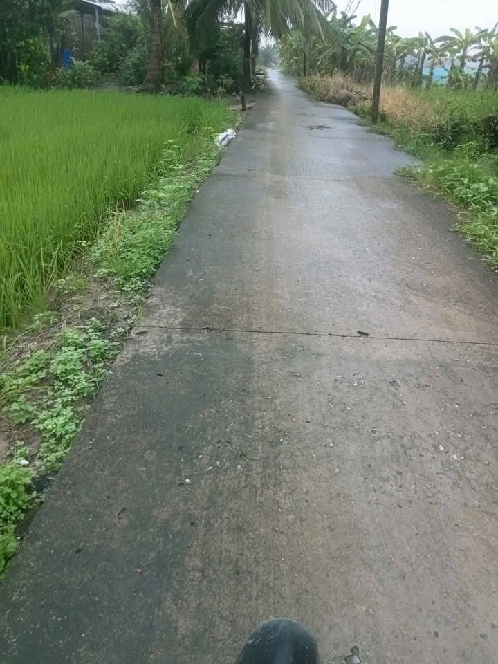 Đất nông nghiệp 10724m² tại Nhựt Tảo, Long An - Giá chỉ 6.4 tỷ!