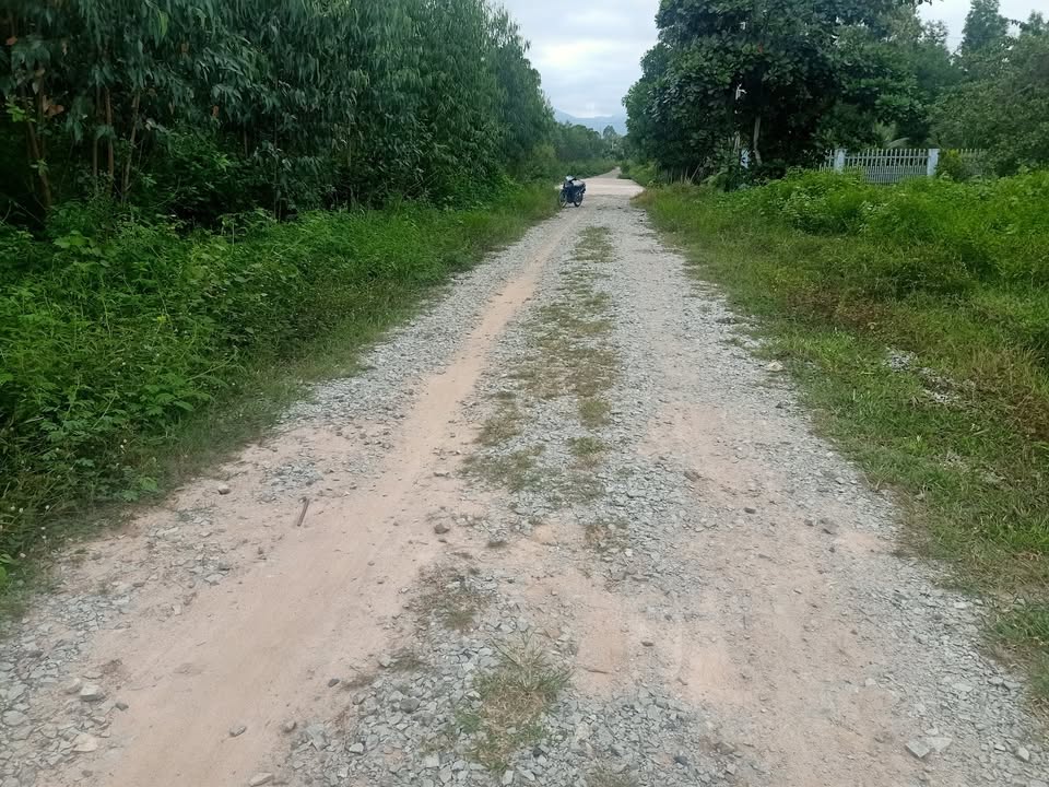 Đất thổ cư Tân Hà 176m² giá 650 triệu - Cạnh trường THCS, tiện ích đầy đủ!