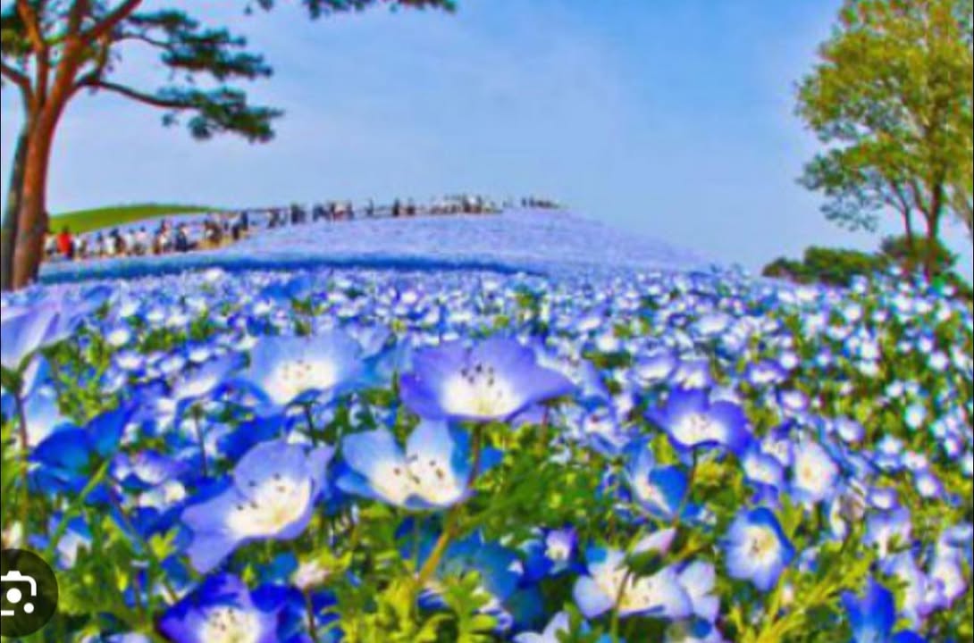 Đất thổ cư Phước Minh, Dương Minh Châu 400m² giá thỏa thuận - Cơ hội đầu tư hấp dẫn!