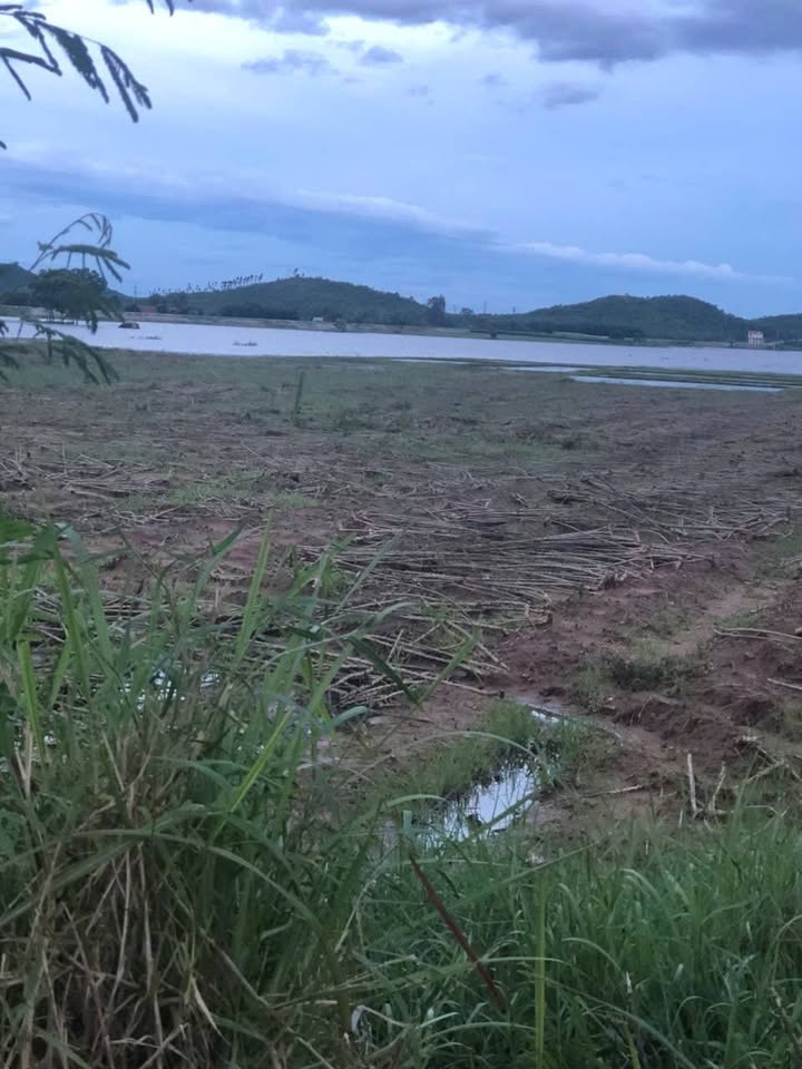 Đất nền thôn Tân Sơn, Ninh Xuân, 14.792m² - Tiềm năng đầu tư lớn!