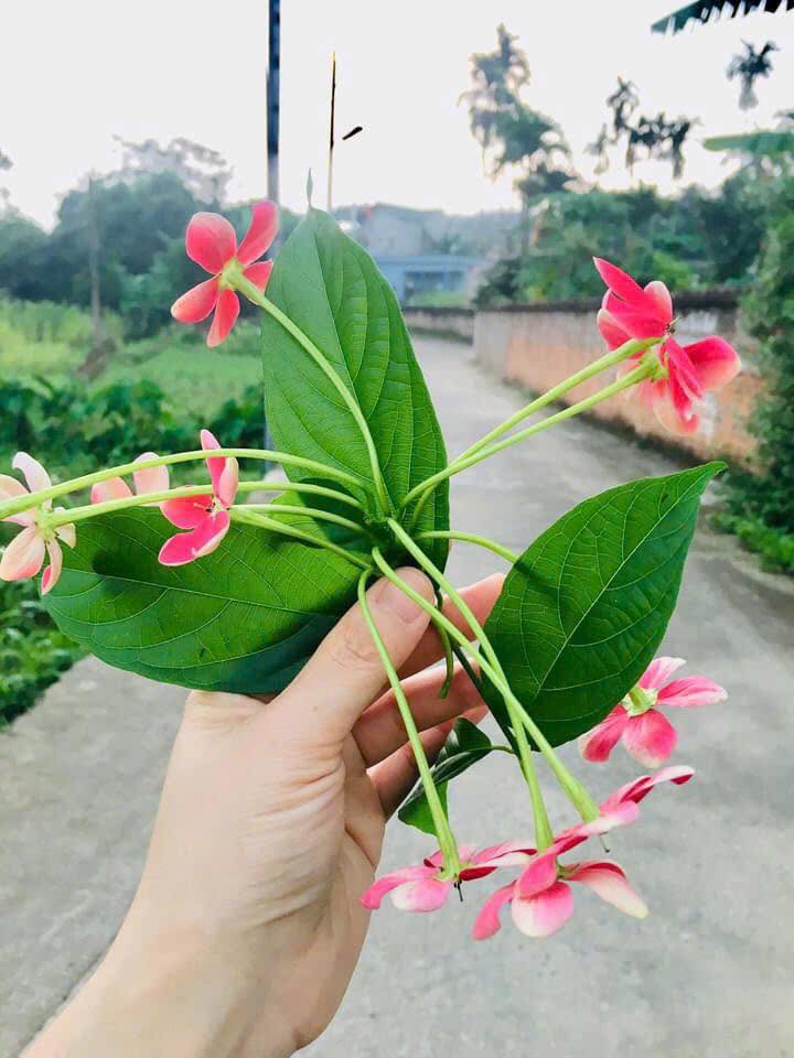 Đất nền Đồng Xuân Thanh Ba 126m² giá 600 triệu - Đầu tư sinh lời ngay!