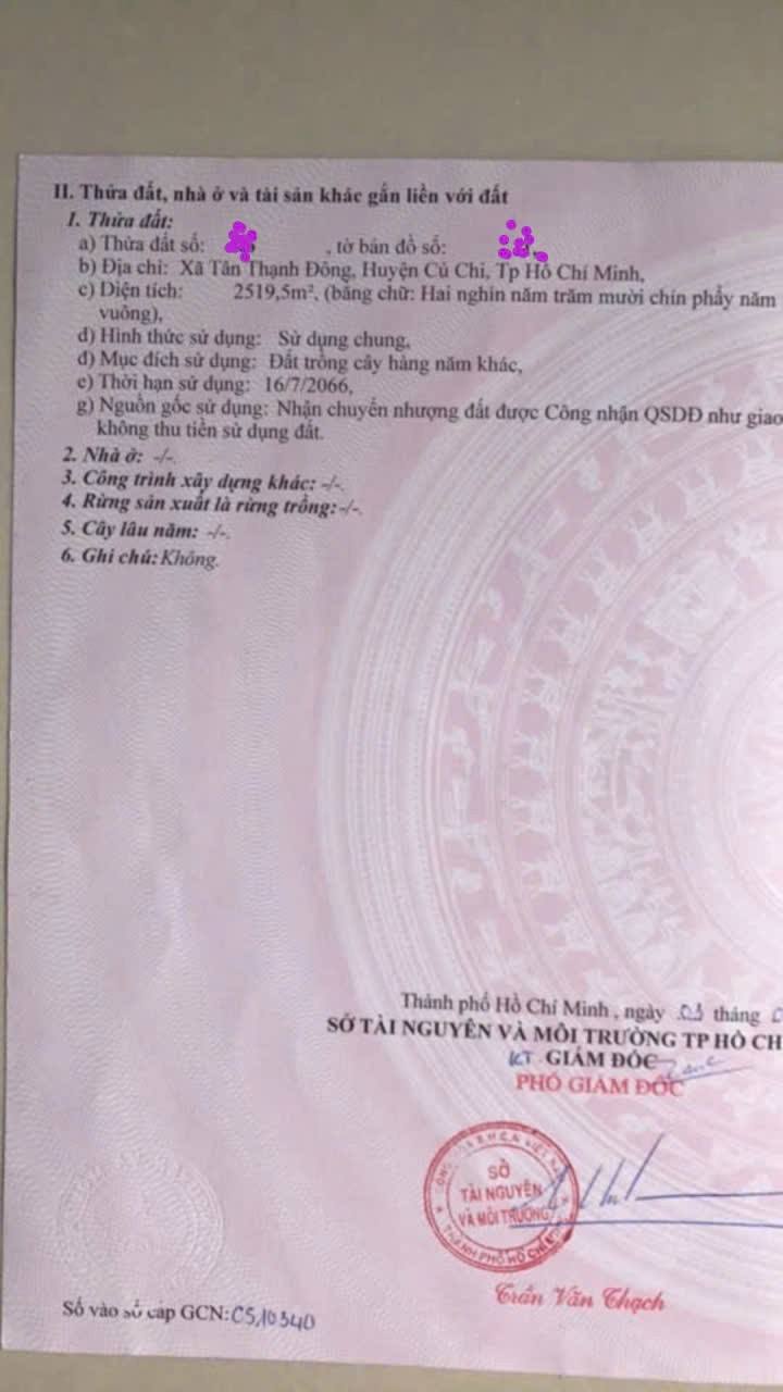 Lô đất mặt tiền đường Hồ Văn Tắng, Củ Chi 2519m² giá 16.37 tỷ - Đầu tư sinh lời ngay!