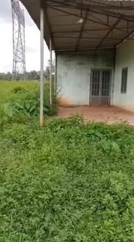 Nhà cấp 4 kiên cố tại Quốc lộ 14, Bù Đăng - Diện tích 480m², giá chỉ từ 500 triệu