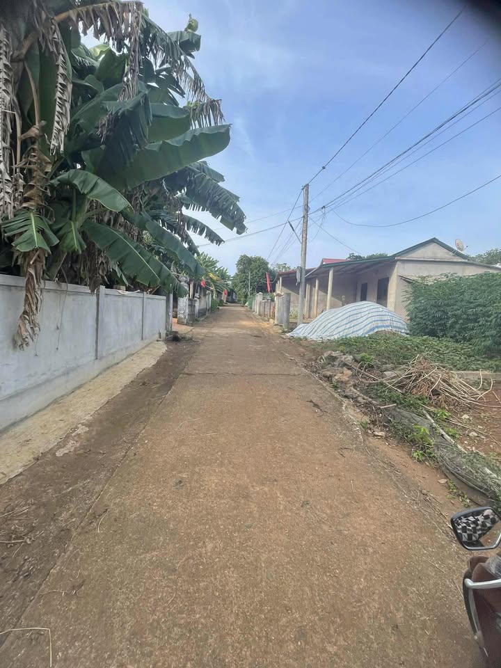 Đất nền biển Kim Thạch, Vĩnh Linh 258m² giá 200 triệu - Sổ hồng chính chủ ngay!