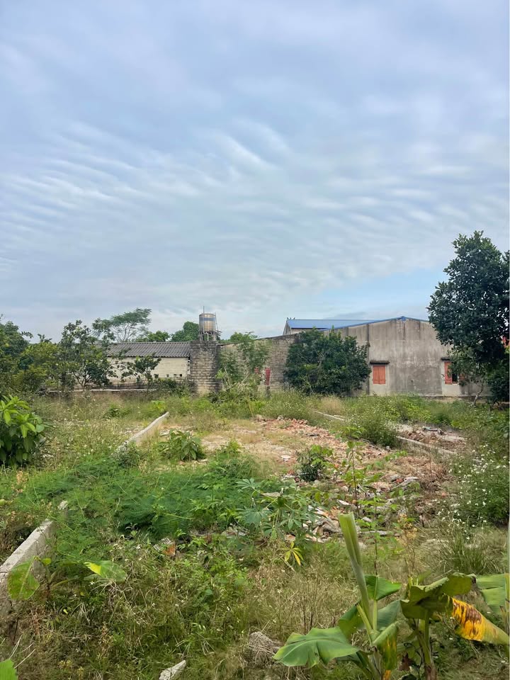 Đất thổ cư 200m² tại xã Tân Khánh, giá 400 triệu - Đầu tư sinh lời ngay!