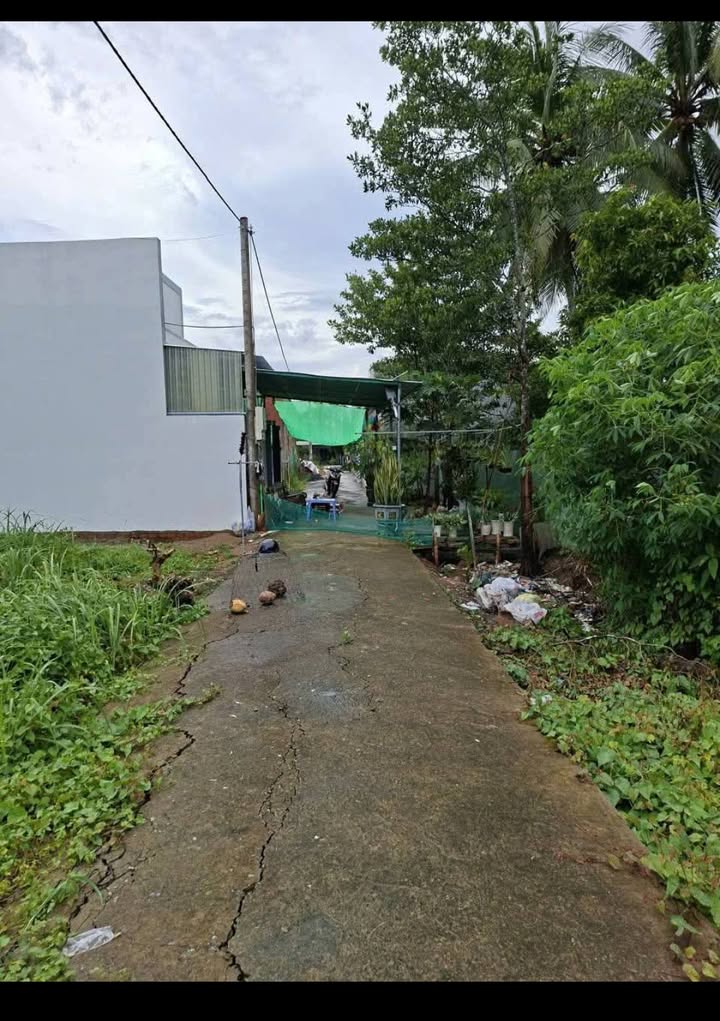 Đất nền thổ cư 132m² Sơn Đông, Bến Tre chỉ 420 triệu - Đường ô tô vào tận nơi!