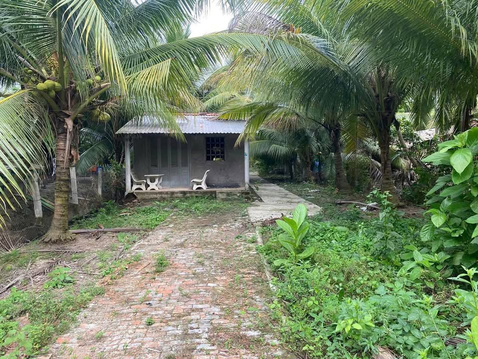 Đất nông nghiệp Cái Nhum 64,000m² giá 3 tỷ - Tiềm năng đầu tư lớn!