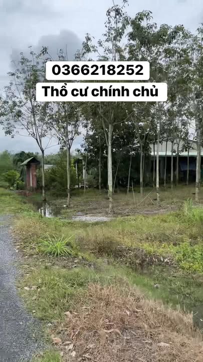 Đất thổ cư 2942m² tại Long Vĩnh, Châu Thành, Tây Ninh - Giá 1.95 tỷ, thương lượng!