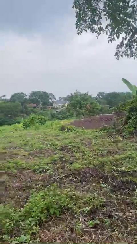 Đất nền thôn 5, xã Ba Trại, Ba Vì 1809m² giá 3.617 tỷ - Vị trí lý tưởng cho nghỉ dưỡng!