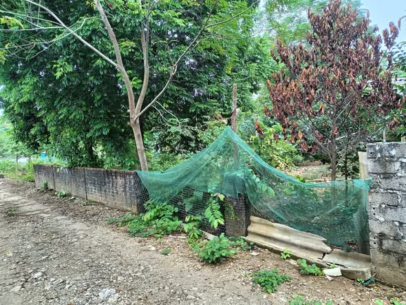 Đất nghỉ dưỡng 360m² tại Suối Hai, Ba Vì - View núi tuyệt đẹp chỉ 1 tỷ!