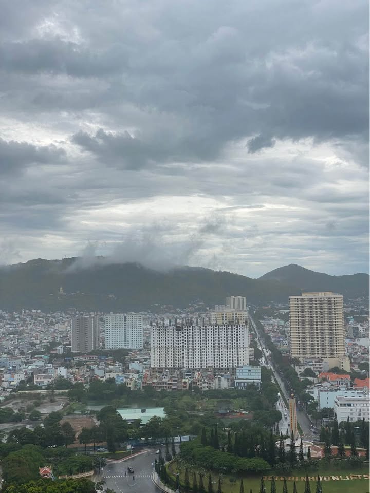 Đất hẻm ô tô Phan Chu Trinh, Vũng Tàu 80m² giá 8.2 tỷ - Vị trí đẹp gần biển!